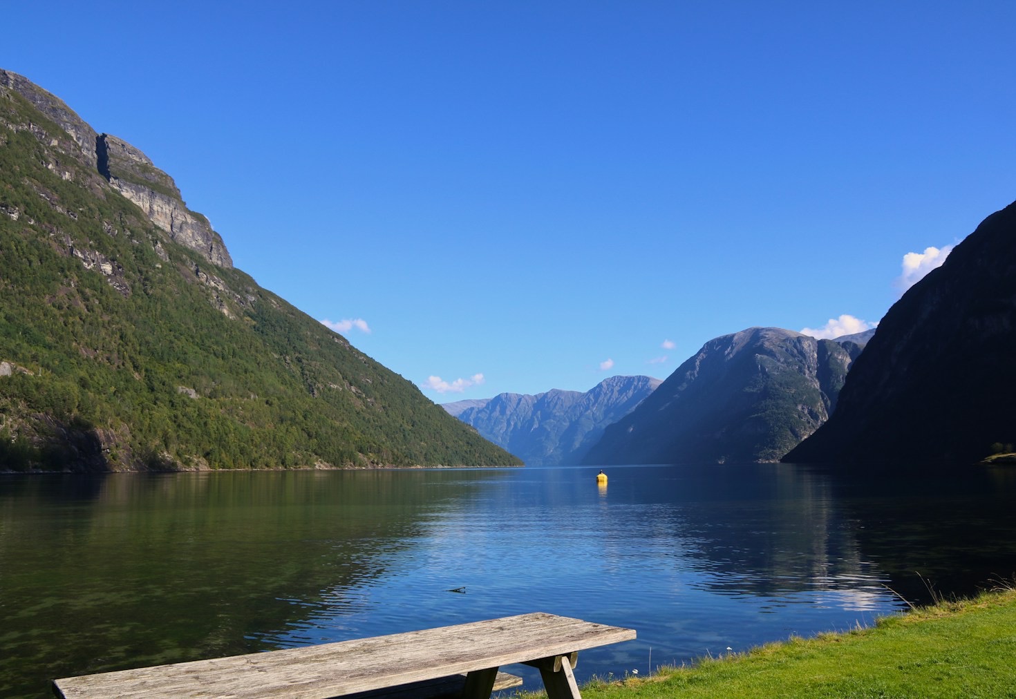 A Walk Through Stadil-Vedersø’s Vibrant Community Life